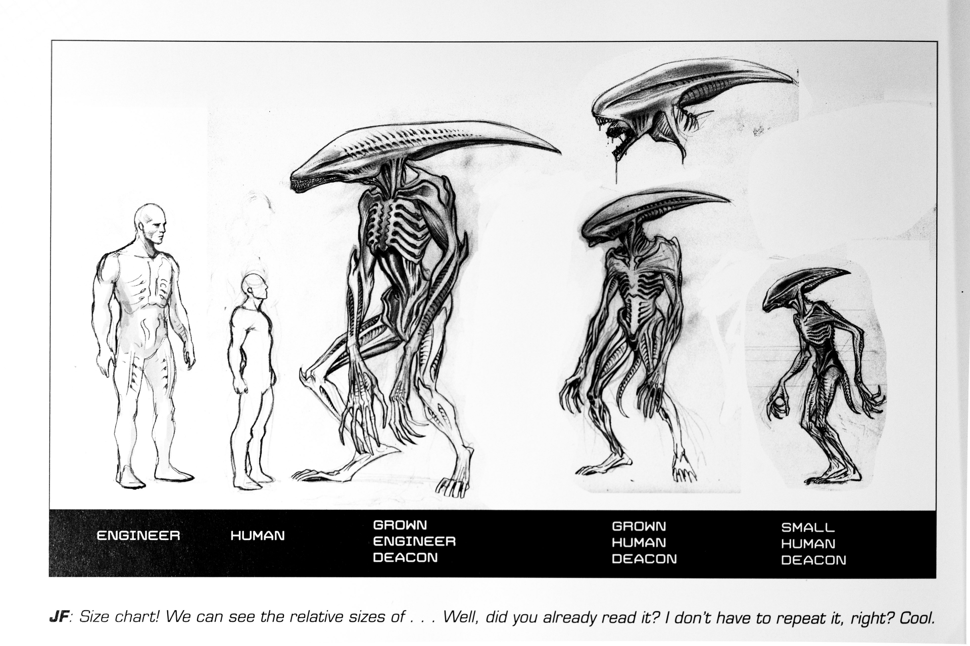 Evolution Of Alien Xenomorph Size Comparison Reaction