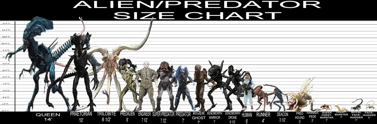 Alien Covenant Evolution Chart